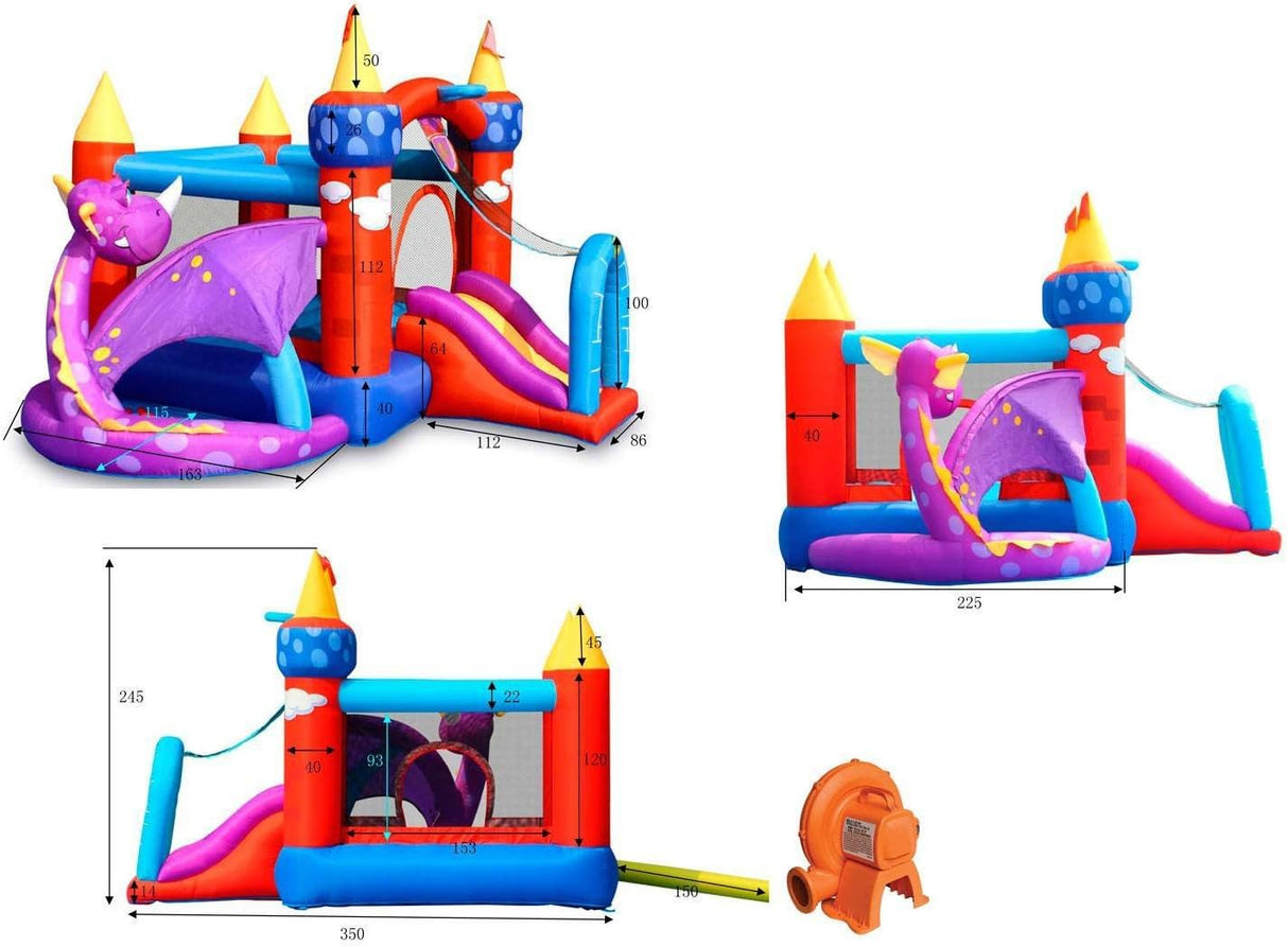 Castle Bouncer with Double Slide